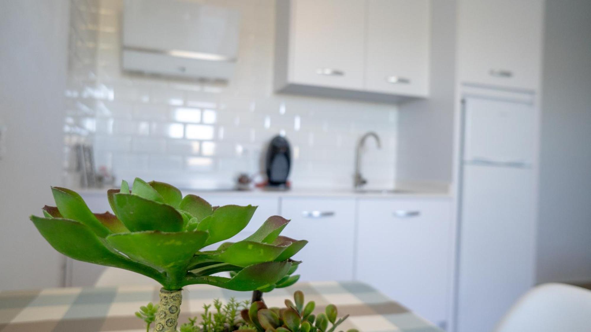 Rural Tarifa Villa Maria Екстериор снимка