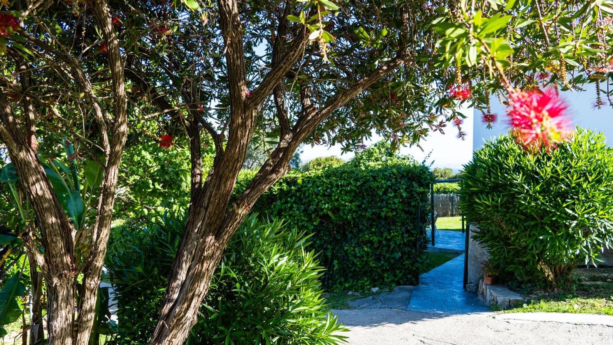 Rural Tarifa Villa Maria Екстериор снимка